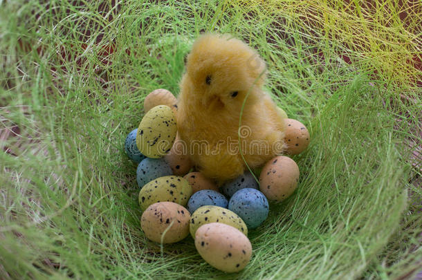 复活节图像。 绿色草地上有彩色鸡蛋的鸡肉