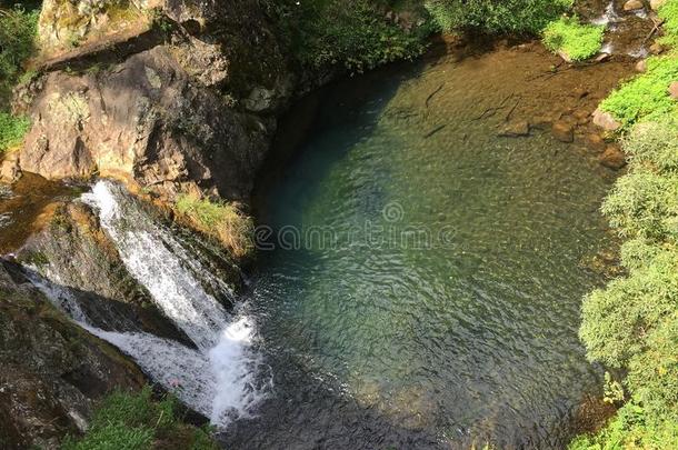 蓝山自然游泳树水