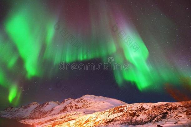 北极光在埃尔斯菲登，特罗姆瑟，挪威