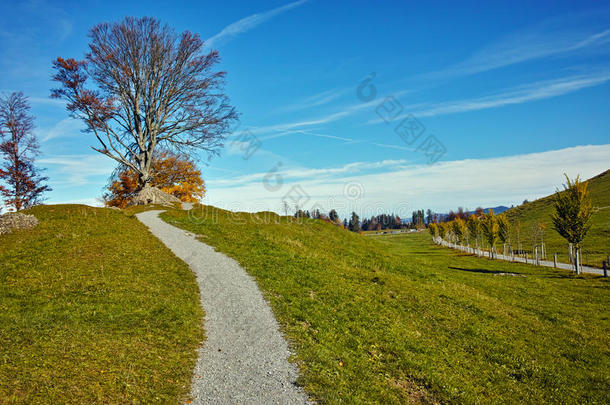 瑞士阿尔卑斯山里基山附近的秋季景观