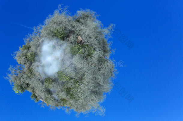 带有云和树的行星的三维插图