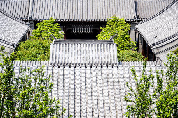 北京鸟庭院住处屋檐