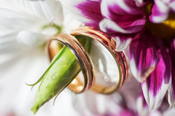 金色的结婚戒指在春天白色和紫色的花朵上