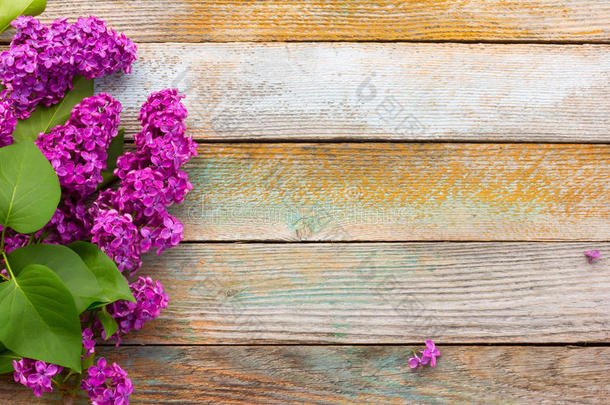 木质木板背景上紫色丁香花的枝条