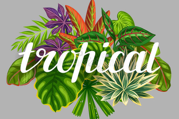 背景与风格化的热带植物和叶子。 广告小册子，横幅，传单，卡片，纺织品的形象