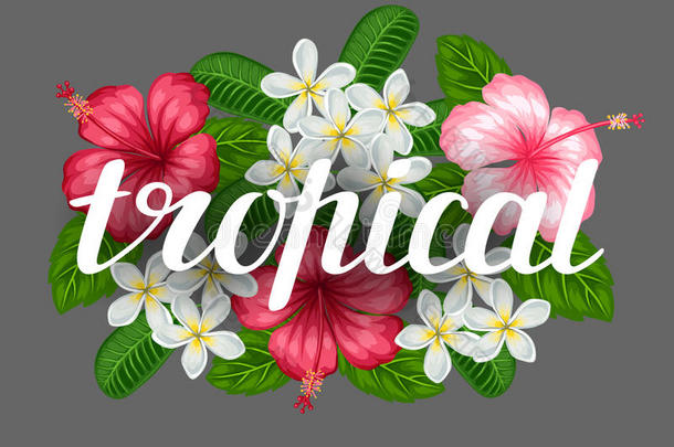 背景与热带花卉芙蓉和李子。 图片设计在t恤，打印，邀请，问候