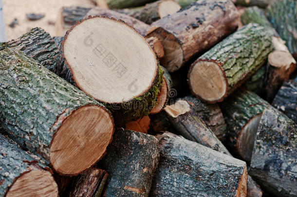 一堆切碎的木头，锯成的木头