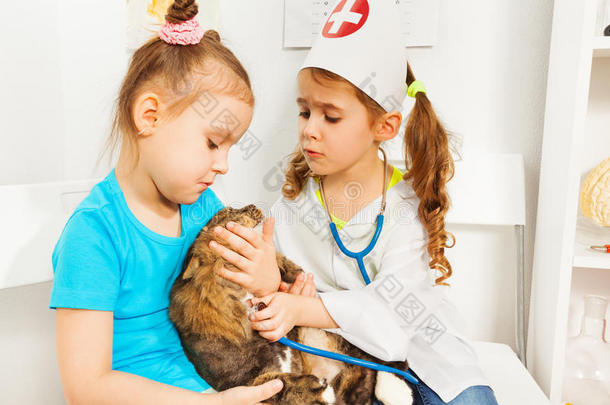 女孩们用听诊器和猫玩兽医