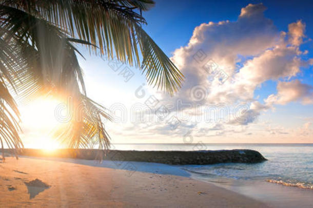 美丽的热带海滩与轮廓棕榈树日落水平背景