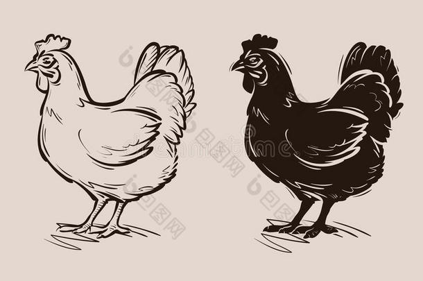 鸡<strong>肉矢量</strong>标志。 农场，家禽，母鸡，家禽图标