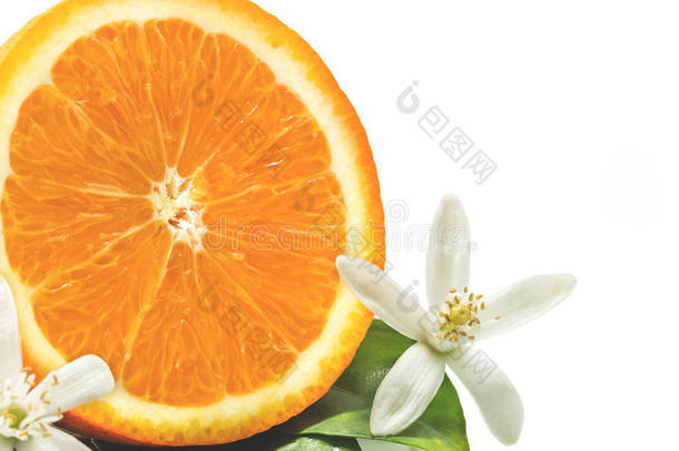 关闭橙色水果与叶子和开花分离