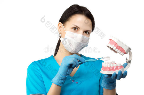 带工具的牙医。 牙医。 牙科的概念，<strong>美</strong>白