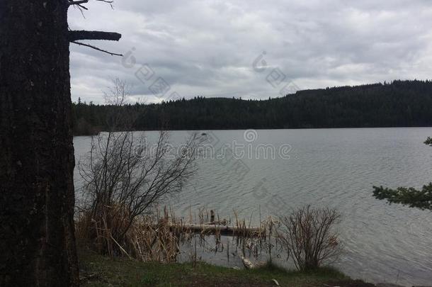 在康洛普斯荒野徒步旅行中探索一个风景优美的湖泊