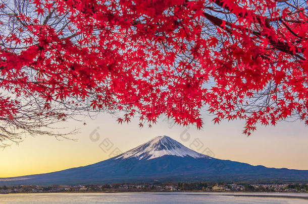 富士山在Kawaguchiko湖