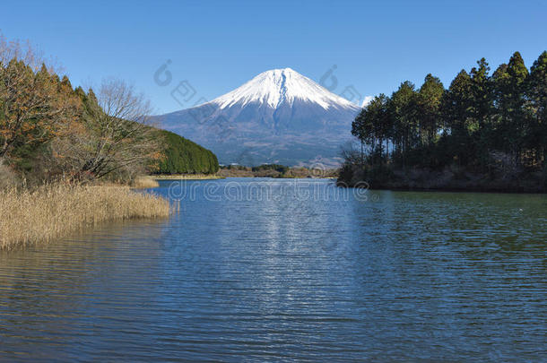 富士山在塔努基湖