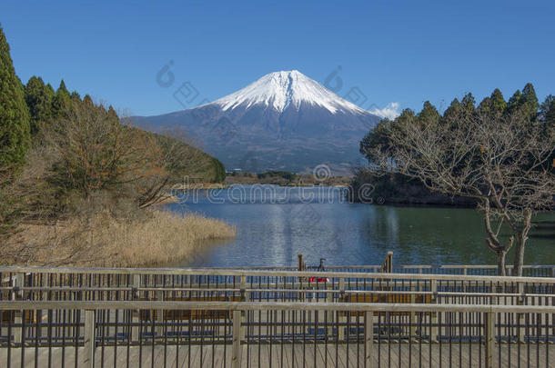 富士山在塔努基湖