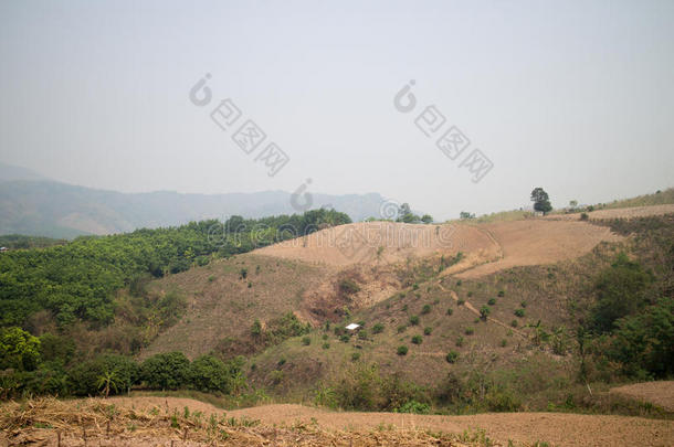 在Payao省山区为农业砍伐森林