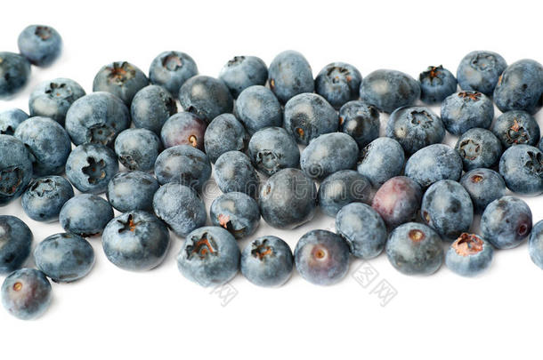 蓝莓或蓝莓在孤立的白色背景上