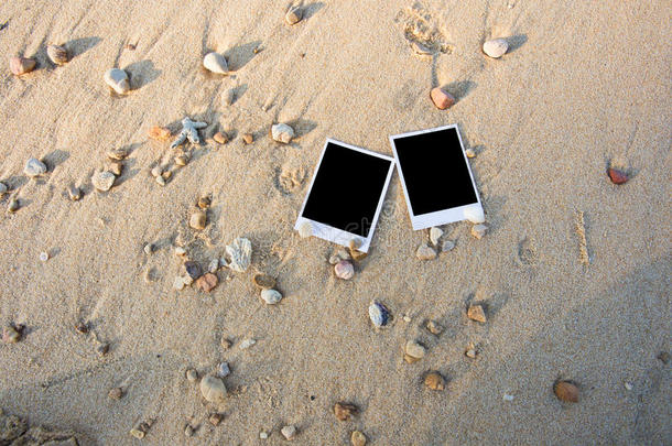 空白的极地照片打印在海沙与贝壳。阳光明媚的夏季背景