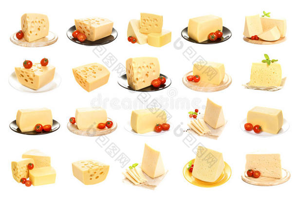 收集白色背景上分离的奶酪。 一套不同的奶酪
