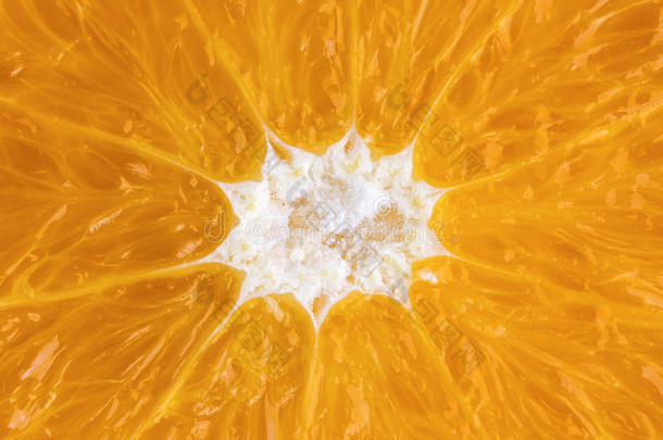 背景明亮的圆圈圆形的柑橘