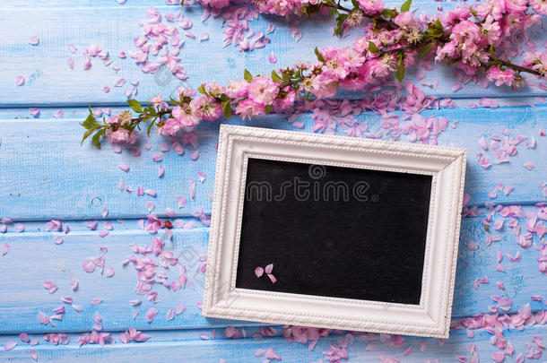 背景是樱花粉色的花朵和b上的空白黑板