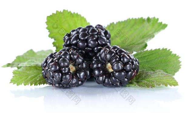 黑莓水果黑莓浆果水果与叶子I
