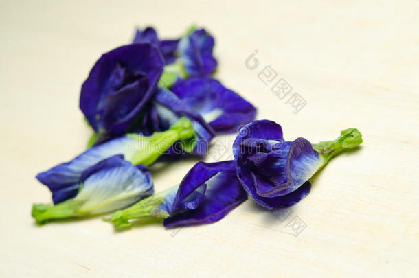 在木制背景上分离的蝴蝶豌豆或蓝色豌豆花