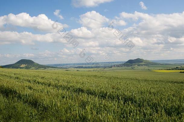 农业波希米亚中心的塞斯克国家