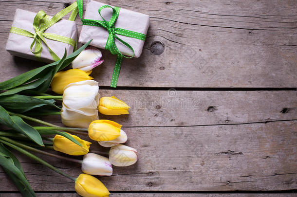 明亮的黄色和白色的春天郁金香和盒子上有礼物