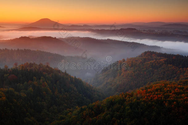 寒冷的<strong>雾</strong>蒙蒙的早晨，日出在波西米亚瑞士公园的秋天<strong>山</strong>谷。 有<strong>雾</strong>的<strong>山</strong>丘，捷克共和国的风景，