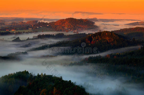 寒冷的<strong>雾</strong>蒙蒙的早晨，在波西米亚瑞士公园的秋天<strong>山</strong>谷。 <strong>雾山</strong>，捷克共和国景观，国家公园