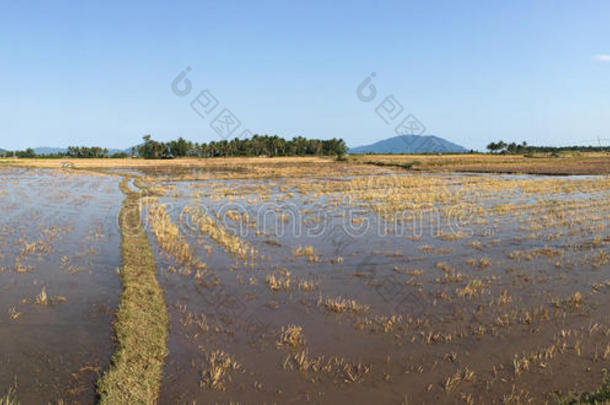 和海湾蓝色船蛋糕