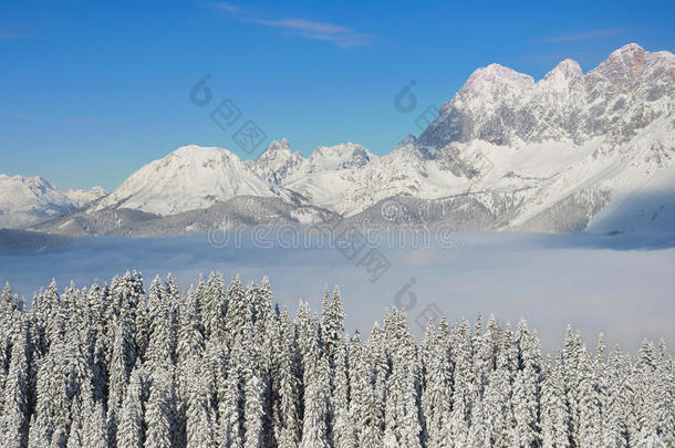 美丽的风景白雪覆盖的葡萄，山和低云在冬天