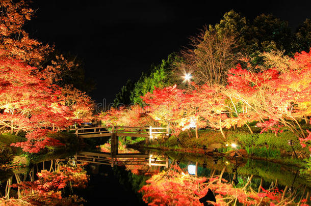 秋天丰富多彩的照明<strong>日本风景</strong>