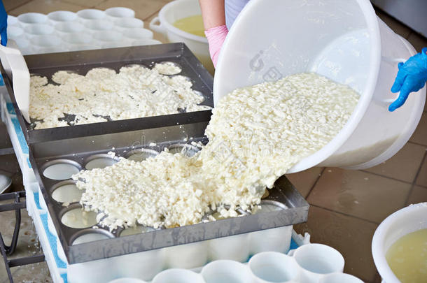 工厂工人为生产软奶酪填充模具