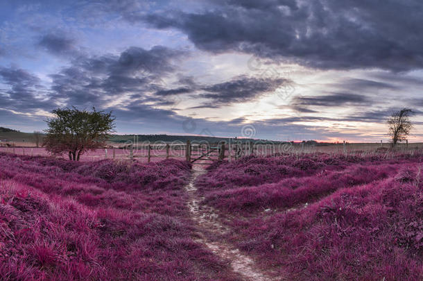 日落时分，美丽的英国乡村风景越过田野