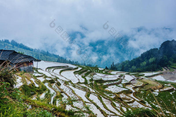 春天美丽的梯田风景