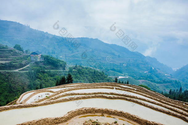 春天美丽的梯田风景