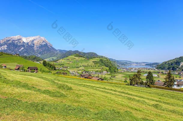 阿尔卑斯山乡村欧洲欧洲的领域