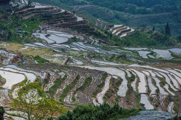 春天美丽的梯田风景