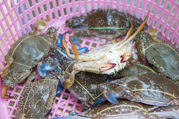 新鲜的蓝色螃蟹在海鲜市场的篮子里
