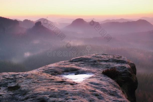 森林景观中梦幻般的薄<strong>雾</strong>早晨。 雄伟的<strong>山</strong>峰划破了<strong>光雾</strong>。 深谷