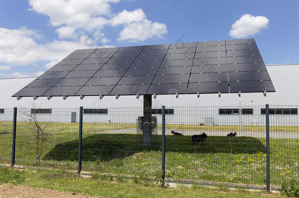 阳光明媚的日子里春天开花草地上太阳能发电站的细节