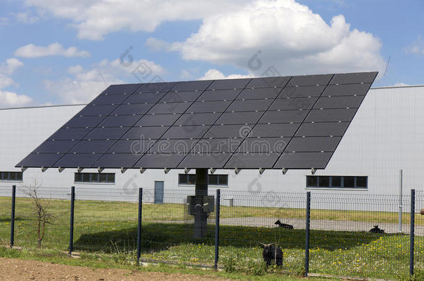 阳光明媚的日子里春天开花草地上太阳能发电站的细节