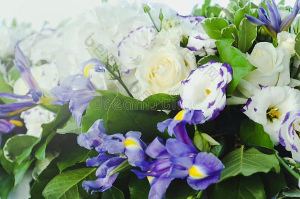 美丽的蓝色鸢尾花，郁郁葱葱的叶子，白色的绣球花，精致的奶油玫瑰。 夏季婚礼概念背景