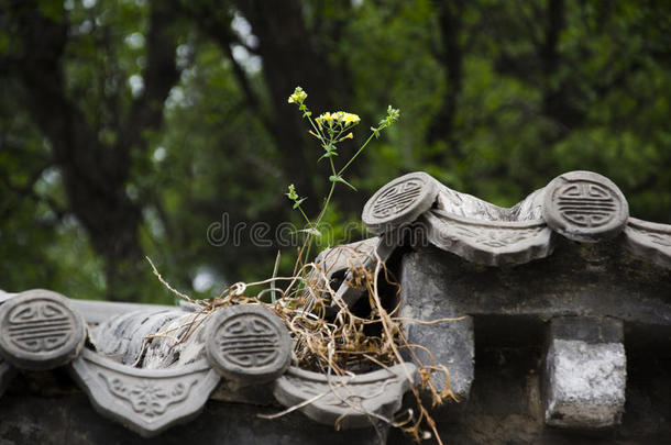 古代的砖建筑雕刻庭院