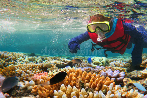 儿童浮潜在大堡礁昆士兰澳大利亚