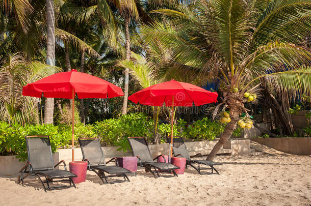 雨伞下的沙滩椅，以椰子树为背景