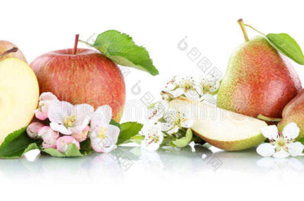 苹果和梨苹果梨水果分离在白色